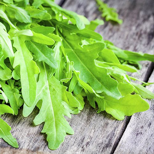 Roquette au kg